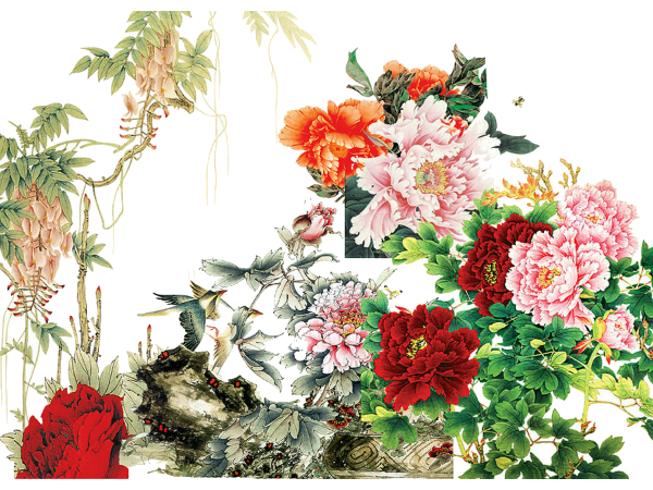 國色天香，優雅綻放 解析《牡丹花》PNG免摳圖素材的藝術價值與應用場景