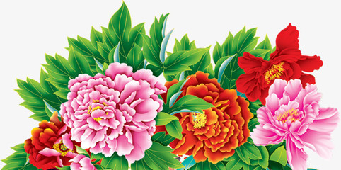 牡丹花開富貴圖 免費高清PNG素材，點綴你的創意設計