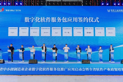 數(shù)字賦能 智造未來(lái) 安徽省中小微制造業(yè)企業(yè)數(shù)字化軟件服務(wù)包推廣應(yīng)用在馬鞍山啟動(dòng)
